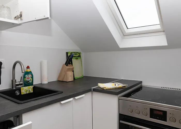 Charmante 1-zimmer-wohnung In Mit Kueche & Kostenlosen Parkplaetzen Appartement Koblenz (Rhineland-Palatinate)